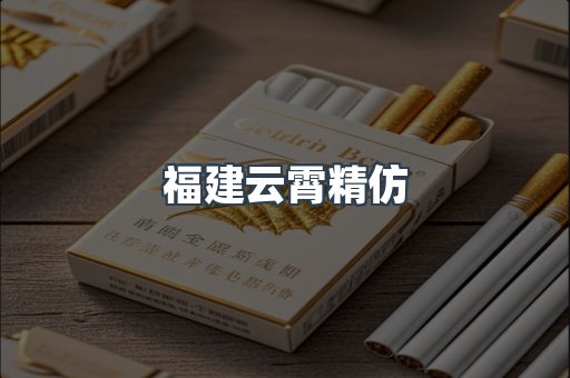 福建云霄精仿